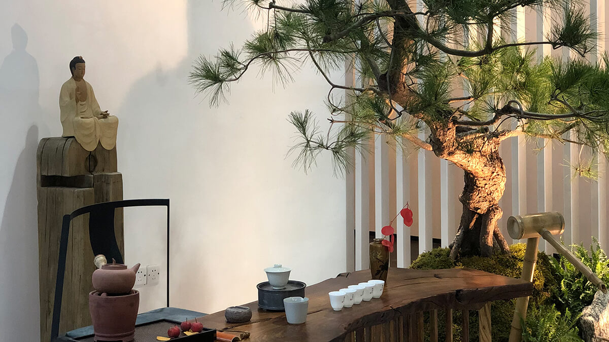 茶室照明設(shè)計